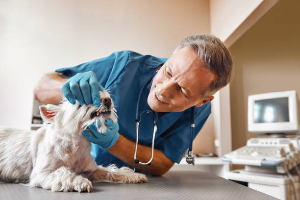 Best Emergency Tooth Extraction in Decatur, GA